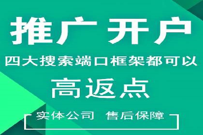SEM代运营服务公司成功案例解析
